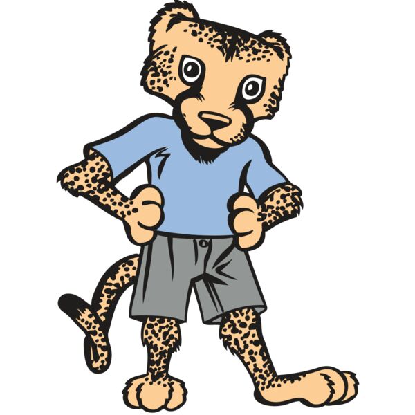 BAW CHEETAH 03 RC Thumbnail