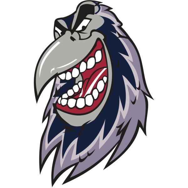 RAVEN HD0503 RQC Thumbnail